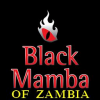 The Black Mamba Wizard