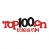 Top100.cn