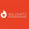 WildHitz