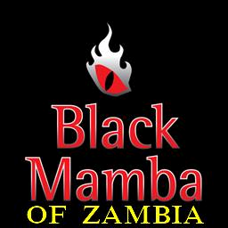 Logo of The Black Mamba Wizard