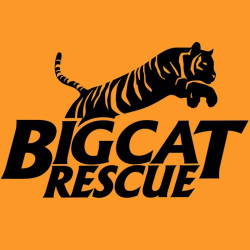 Logo of Big Cat Rescue