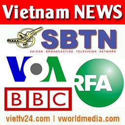 Logo of VN Daily News