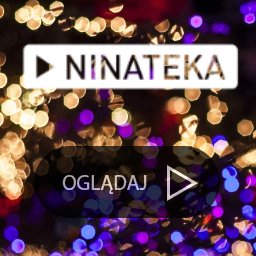 Logo of ninateka