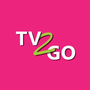 Logo of TV2GO